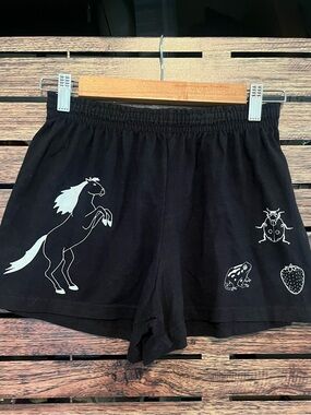 Lorien Stern Magma Power Shorts size L